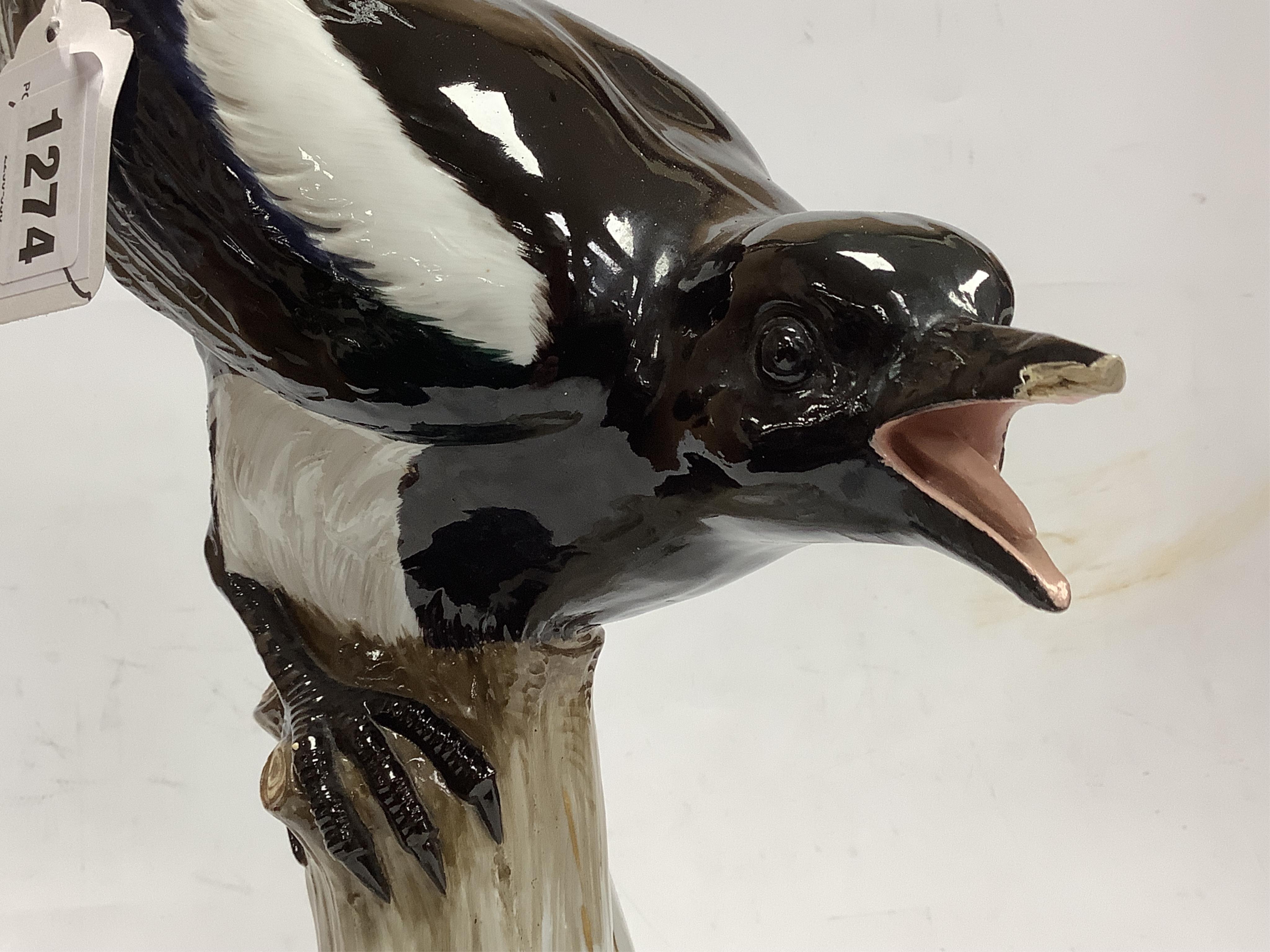 A large Meissen porcelain magpie, 53cm high